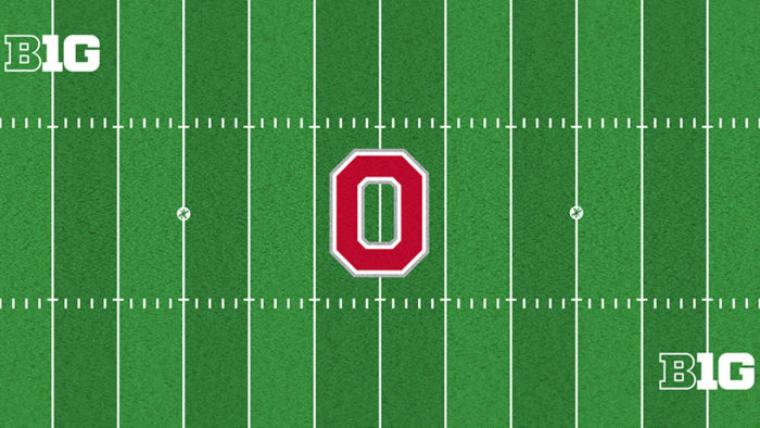 Ohio Stadium New Turf Design 4